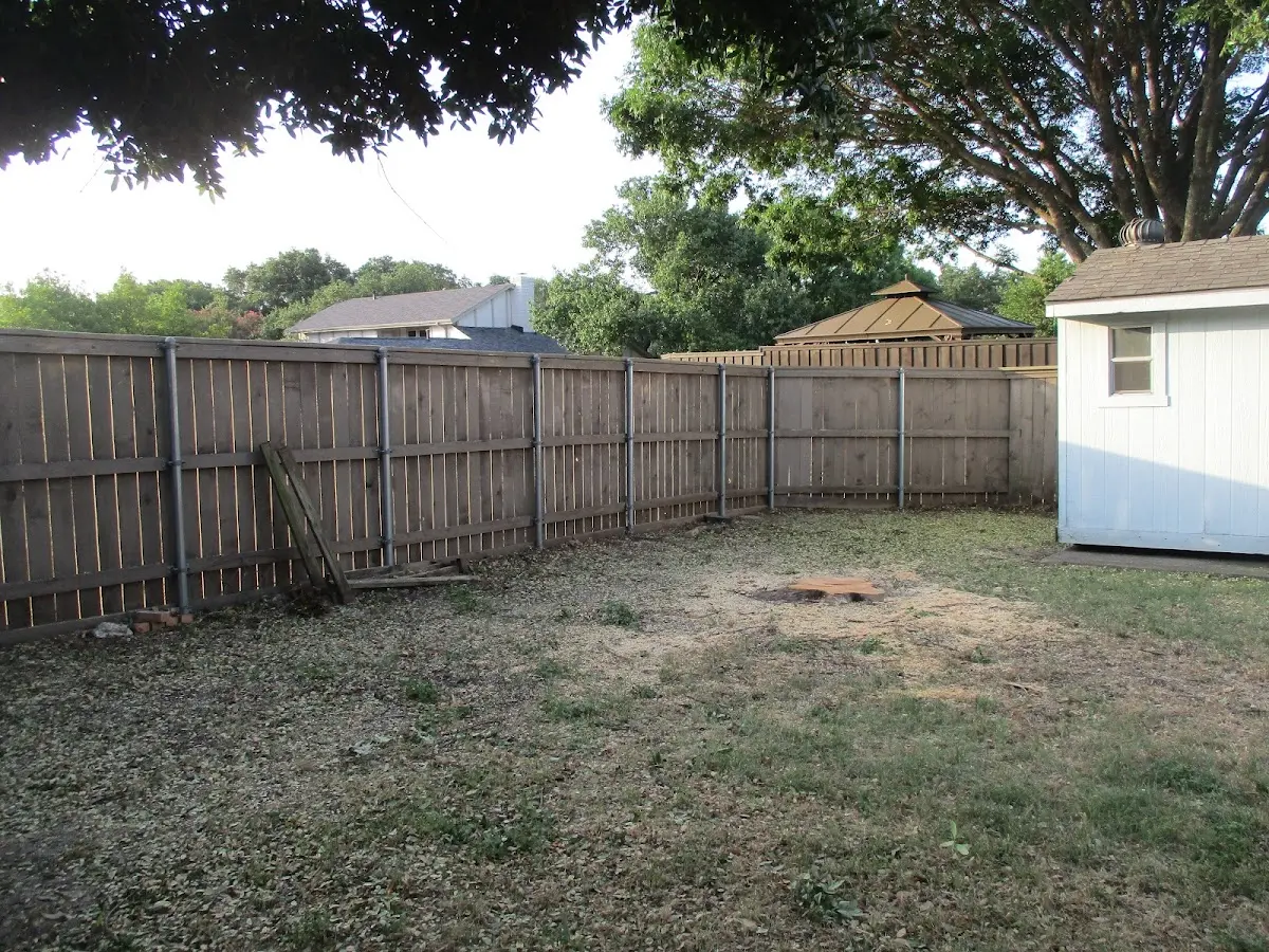 Cleared yard after professional tree removal in Agua Dulce